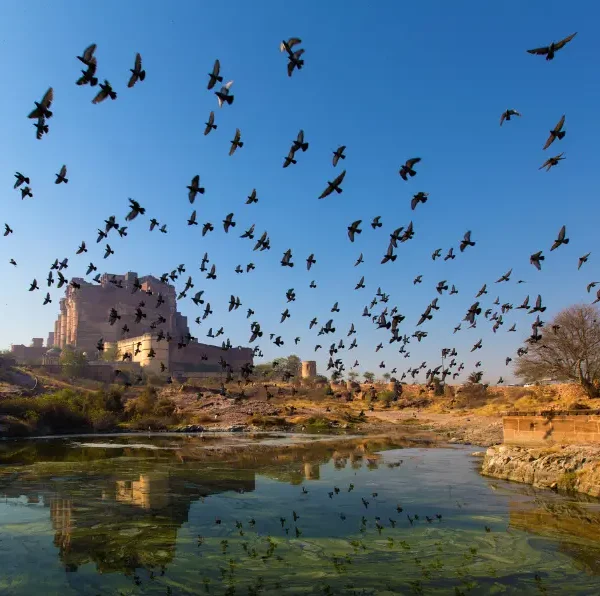 Jodhpur City